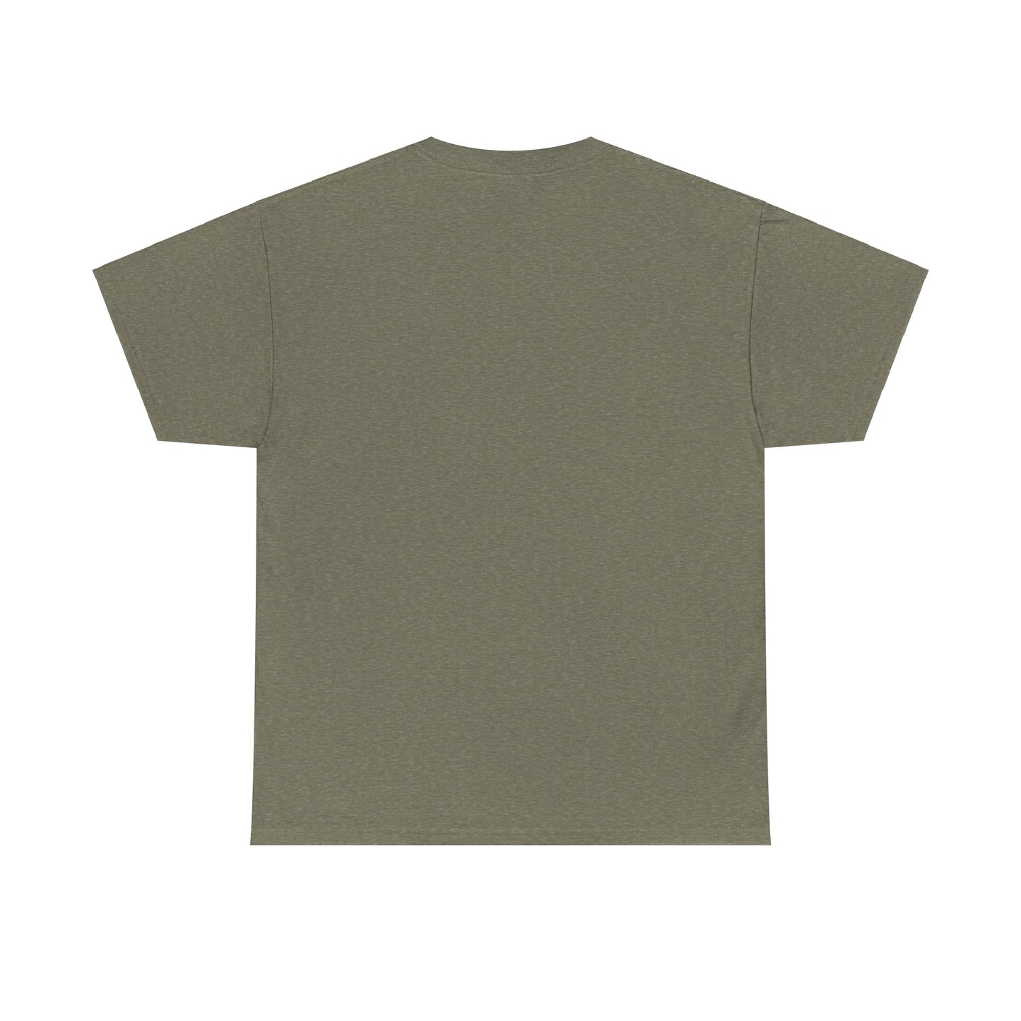 Funny Gaming Gifts Tee I Have Two Titles Brother