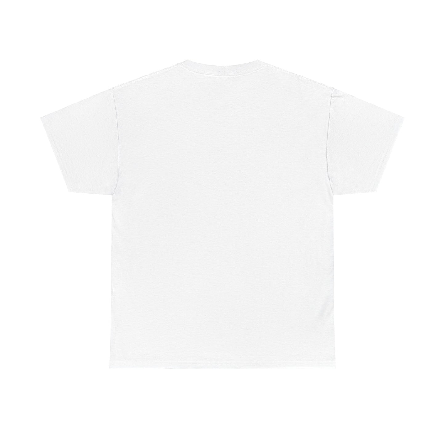 Funny Gaming Gifts Tee I Have Two Titles Brother