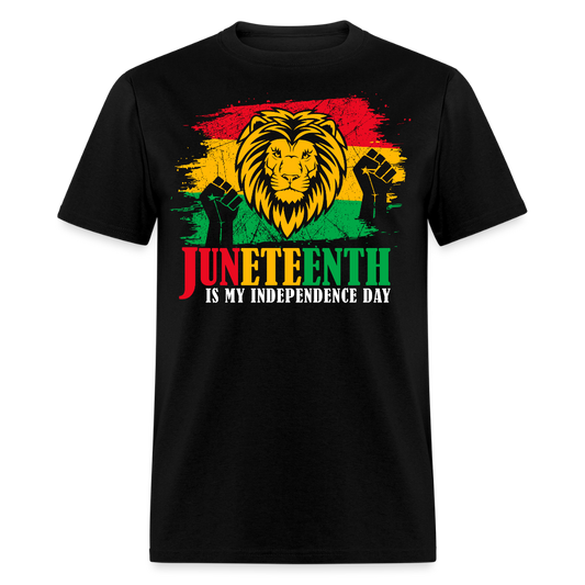 African American Pride Juneteenth RBG Flag T-shirt - black